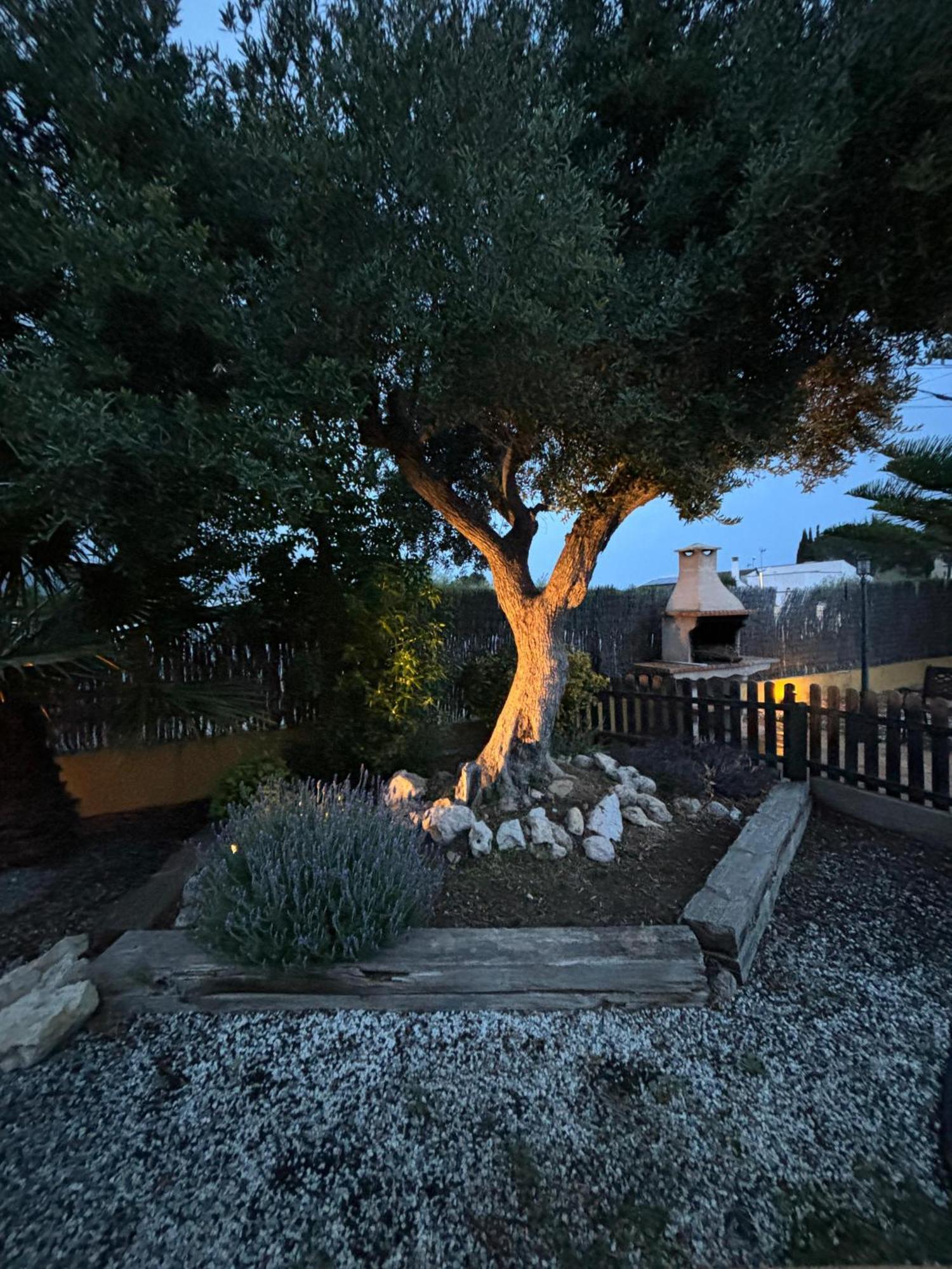 Xalet piscina privada Ibiscus Villa L'Ametlla de Mar Bagian luar foto